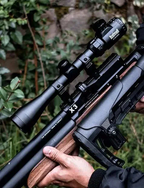 Mini Banner 4 Mini Banner 4