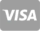 visa icon